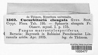 Image Associated With the Occurence